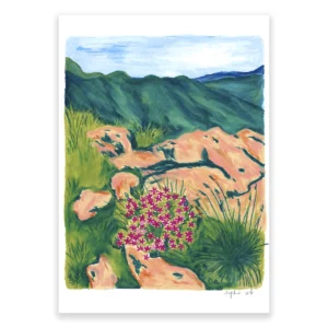 Promenade en montagne
