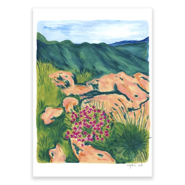 Promenade en montagne