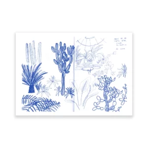 Les serres, extrait de carnet - carte postale