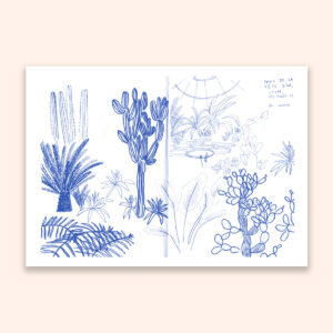 Les serres, extrait de carnet - carte postale